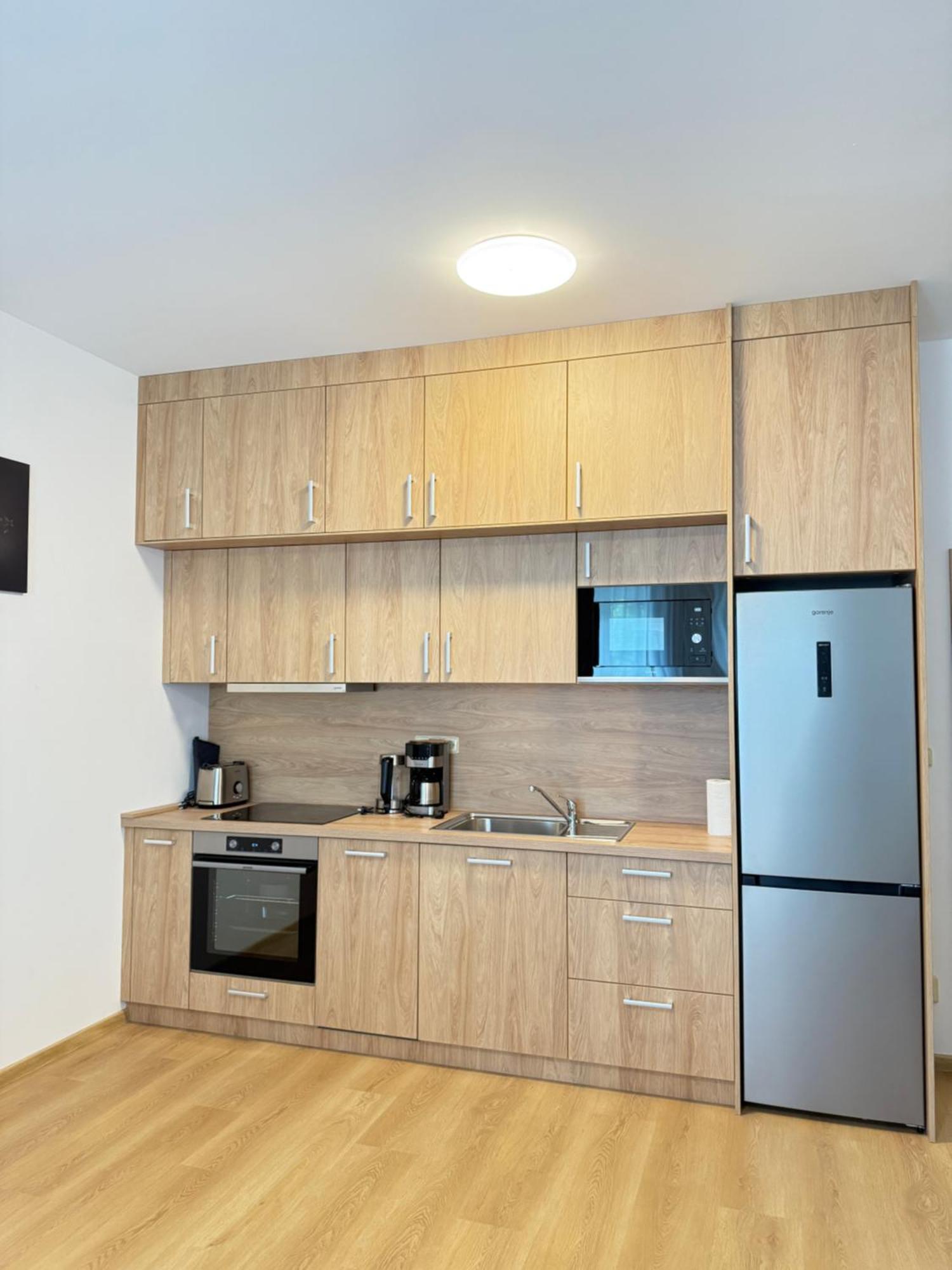 Riverside Apartment Prag